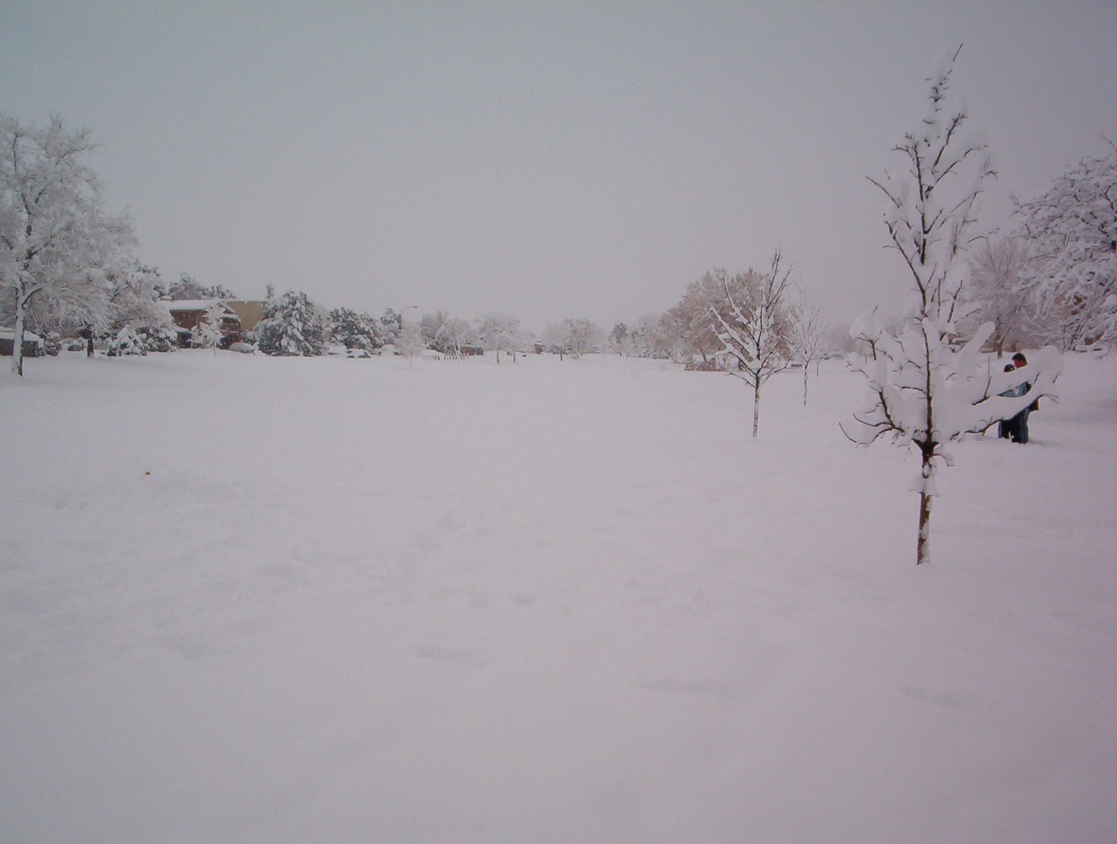 [new+snow+pics+008.jpg]