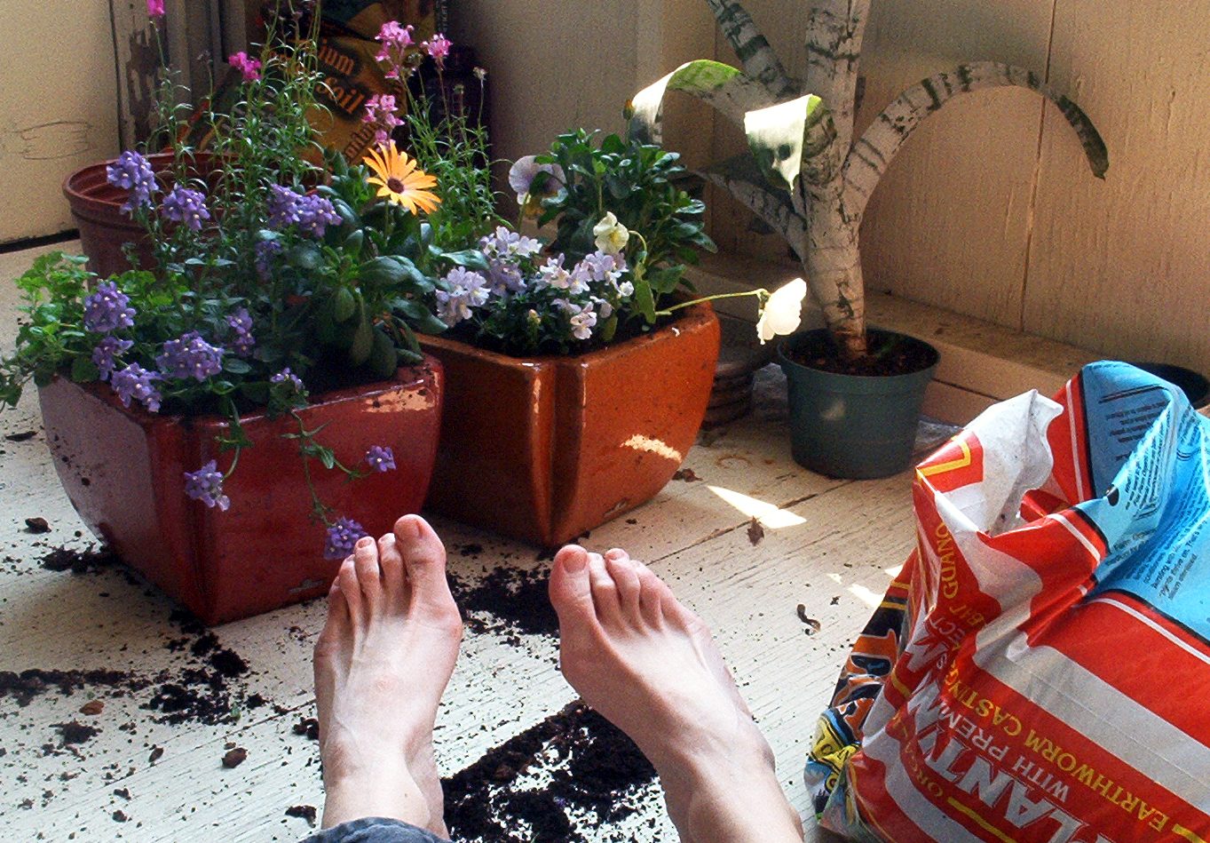 [feet-flowers.jpg]
