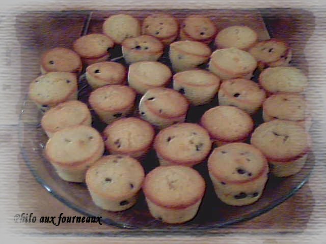 [Muffins+noix+de+coco+et+pépites+de+chocolat.JPG]
