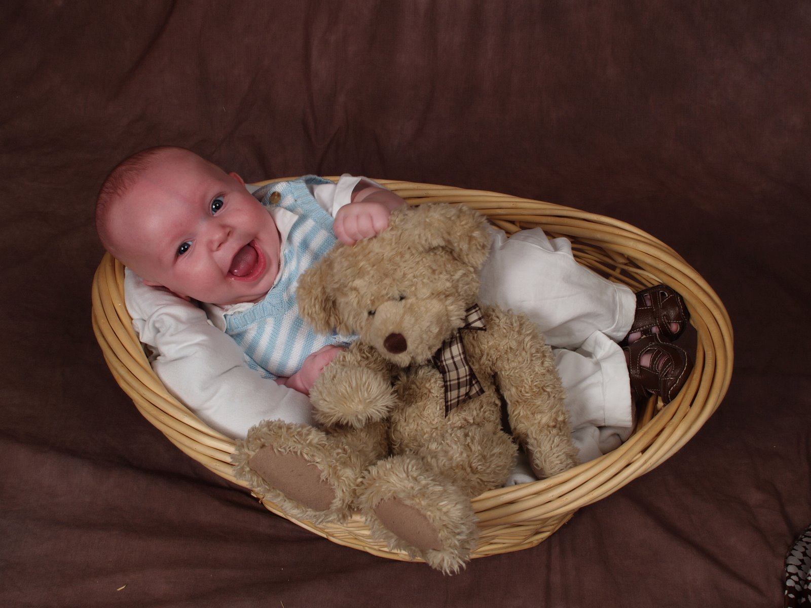 [basket+teddy+bear.jpg]