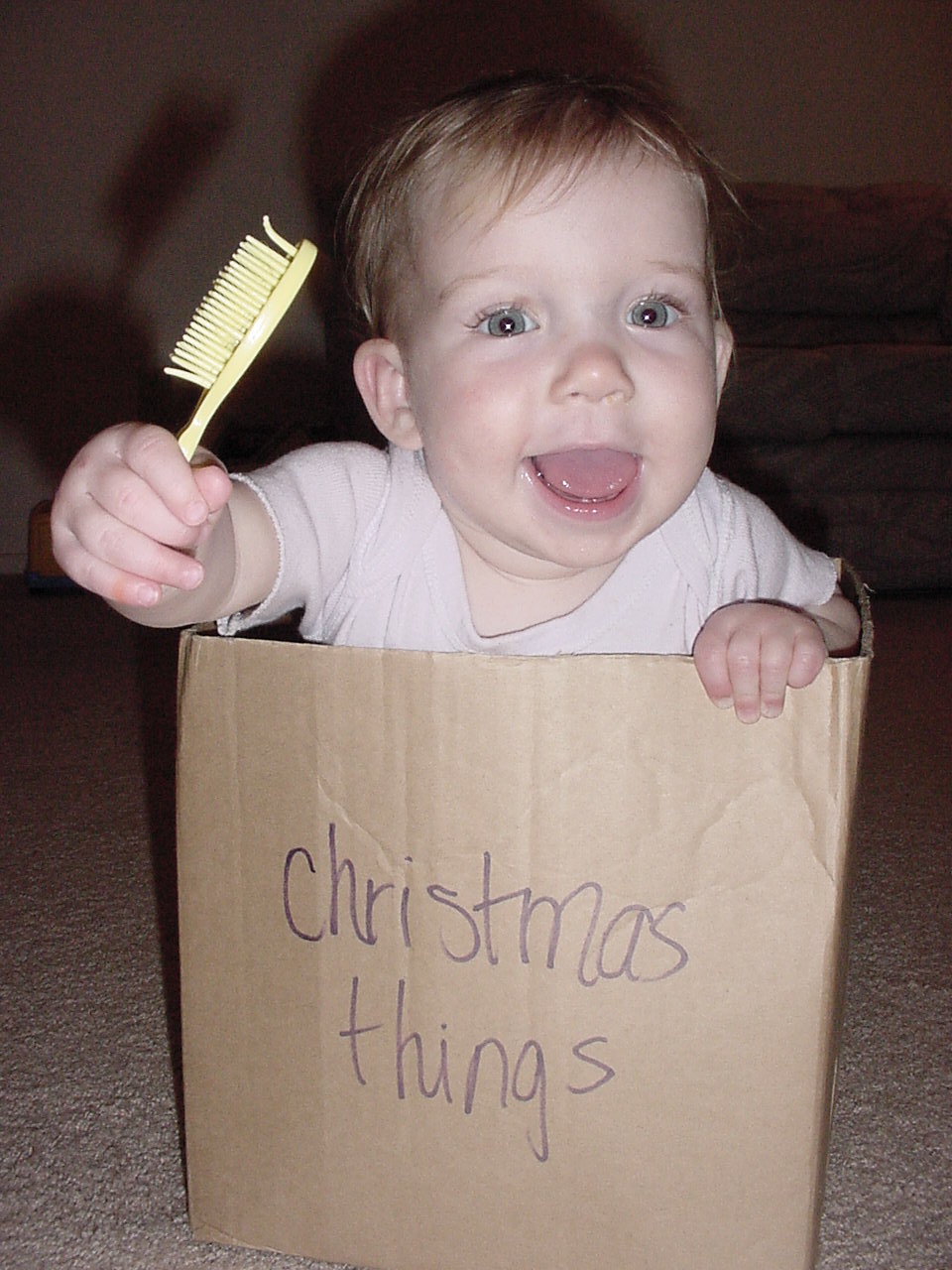 [Em+christmas+things.JPG]