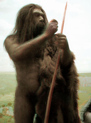 [300px-Neanderthal_2D.jpg]