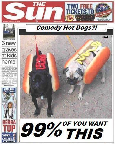 [hot+dog+sun.jpg]
