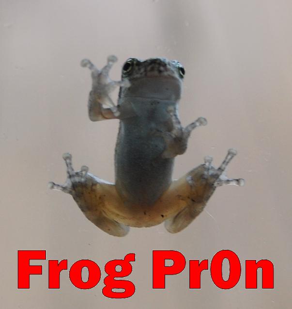 [frog+Pr0n.JPG]