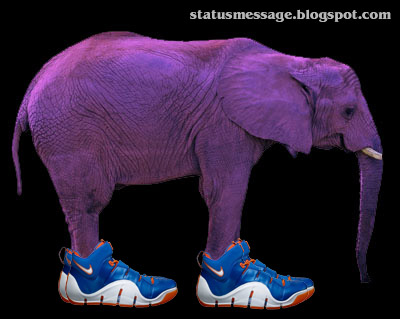 [purpleelephantinsneakers.jpg]