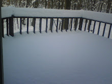 Deck the Deck with SNOW!