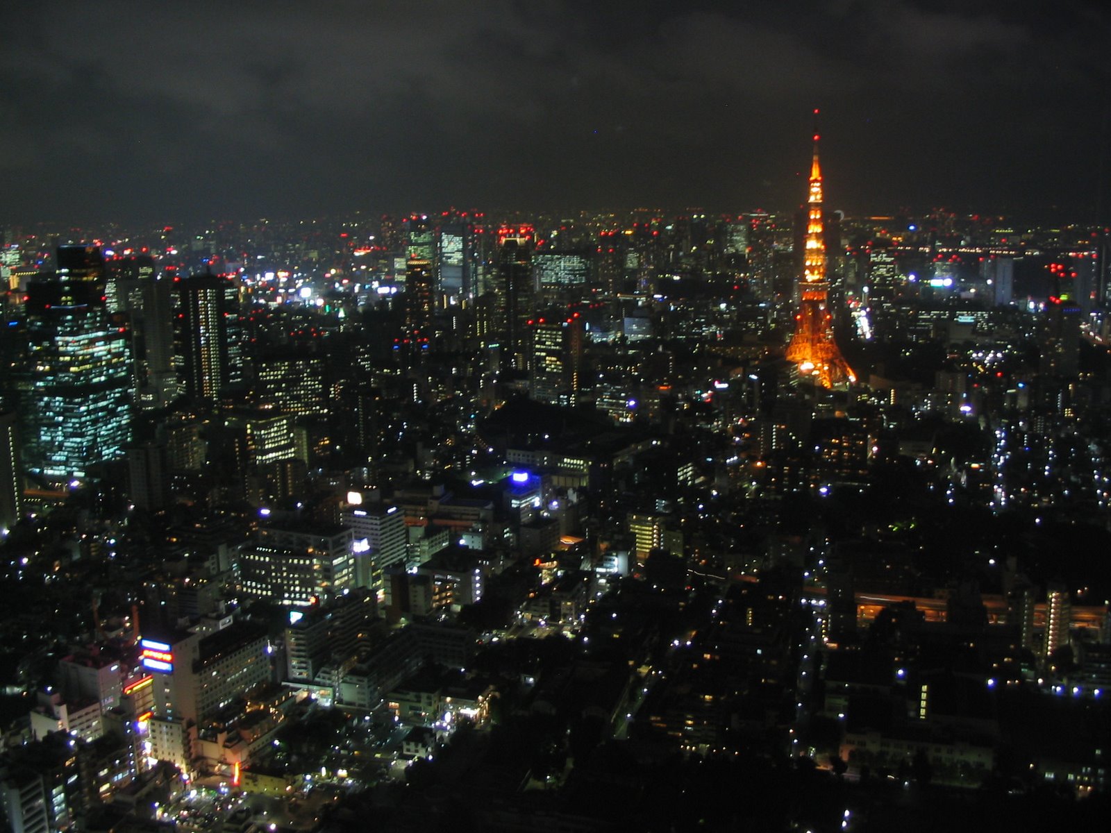 [IMG_0085+Tokyo+night+skyline+from+Roppingi+Hills+tower.JPG]