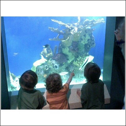 [Owen+Aquarium.jpg]