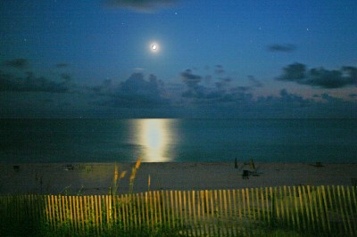 [Moon_Gulf_Cape_San_Blas_Florida_Beachfront.jpg]