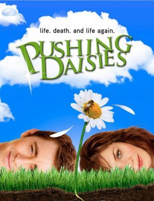 [pushing+daisies.jpg]