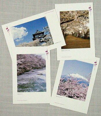 [hirosaki_postcard.jpg]