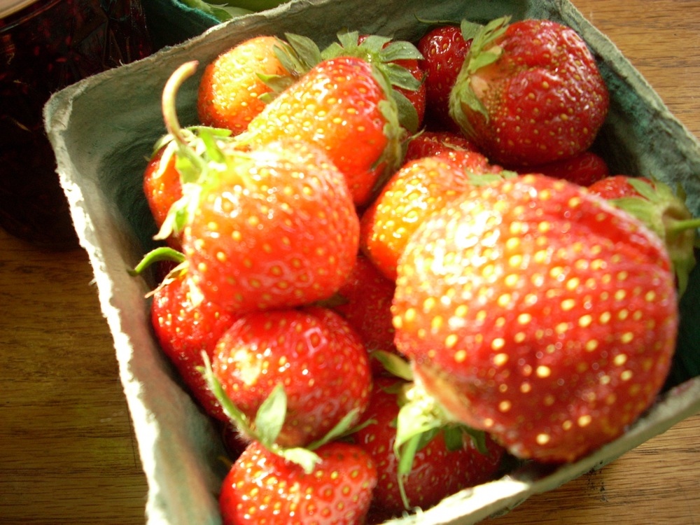 [strawberries.JPG]