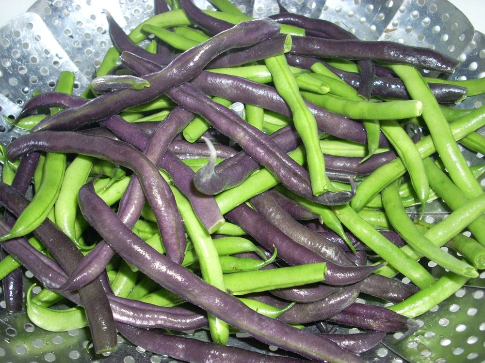 [purplegreenbeans.JPG]