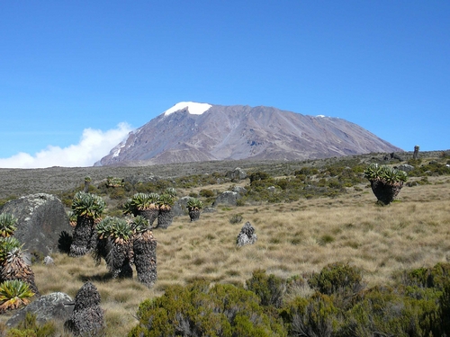 [Kilimanjaro7.jpg]