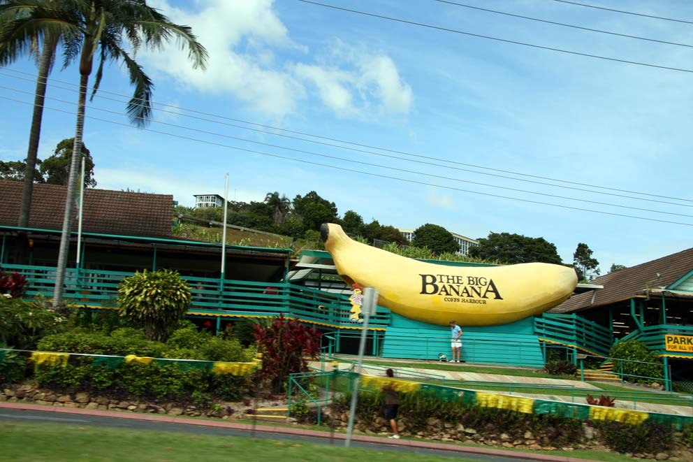 [The-Big-Banana.jpg]