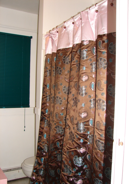 [Brocade+Shower+Curtain.JPG]