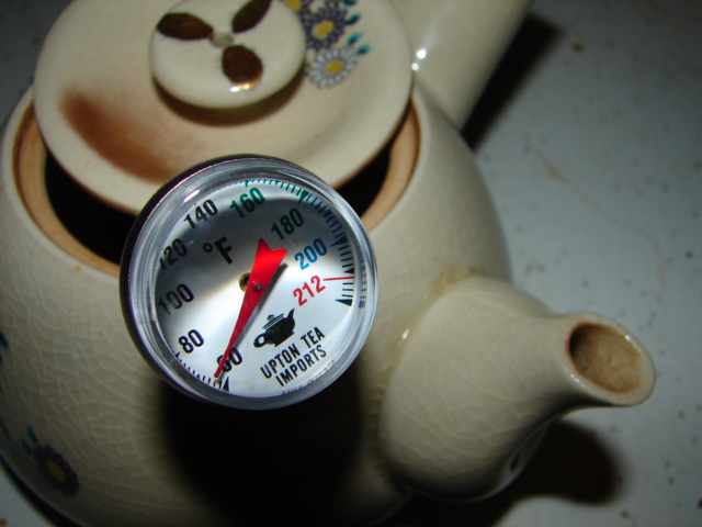 [Tea+thermometer.JPG]