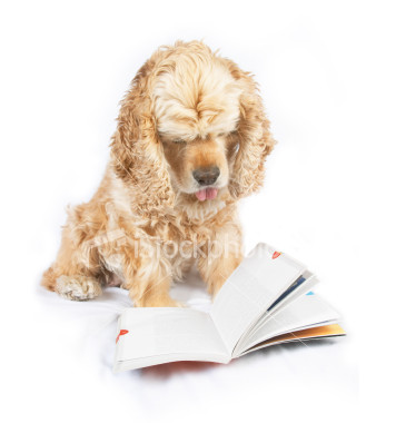 [ist2_2227939_dog_reading_book_with_the_tip_of_tongue_out.jpg]
