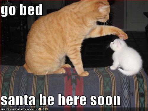 [funny-pictures-kitten-bed-santa.jpg]