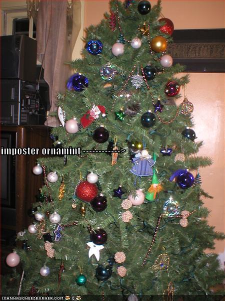 [funny-pictures-christmas-tree-cat.jpg]