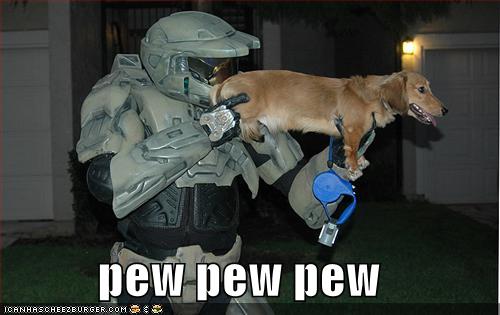 [funny-pictures-halo-dog-pew.jpg]