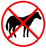 [no+horse.jpg]