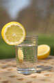 [lemon+water.jpg]