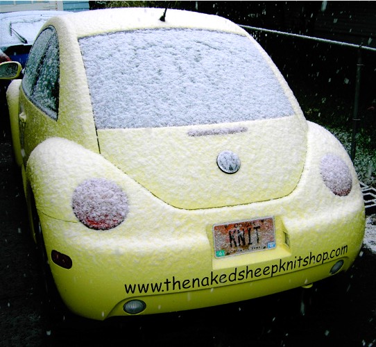 [snow+beetle.jpg]