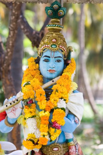 [Lord-Krishna-statue-devotional-marigold.jpg]