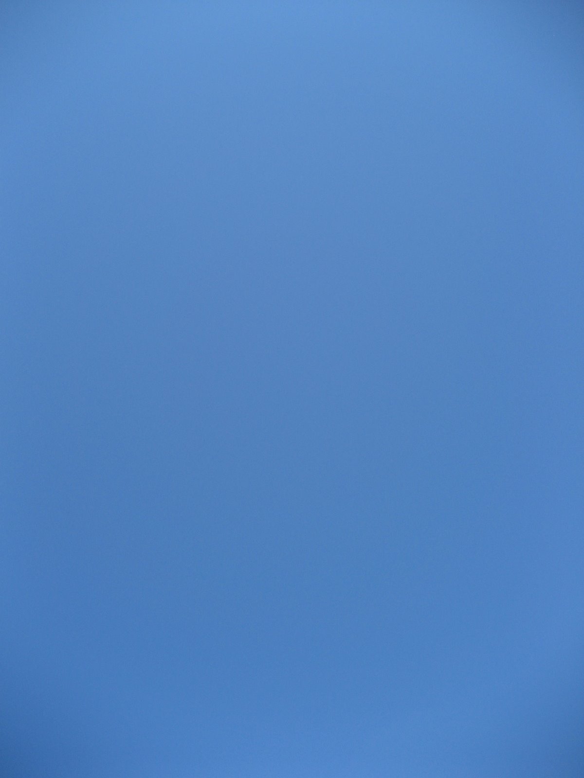 [IMG_blue+sky7502.JPG]