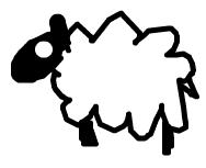 [sheep.JPG]