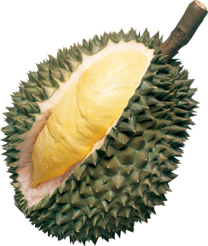 [Durian.bmp]