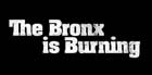 [Bronxburning.jpg]