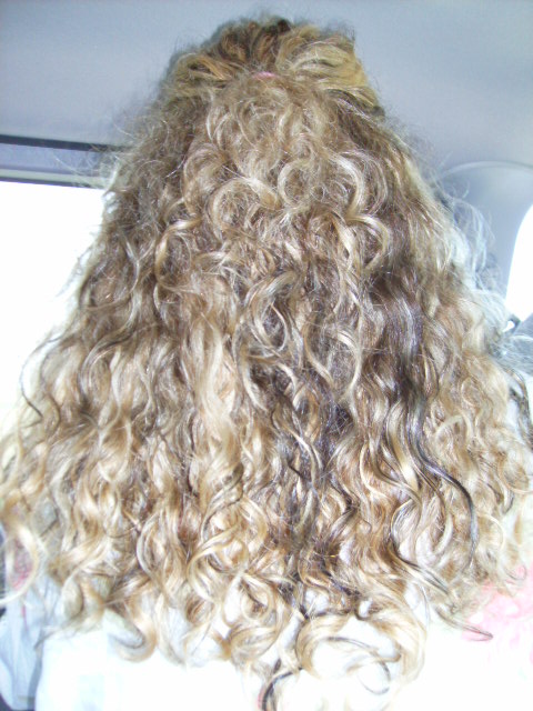 [My+Hair+May+26+2007A.jpg]