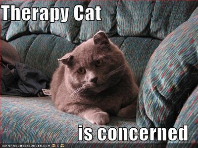 [funny-pictures-therapy-cat.jpg]
