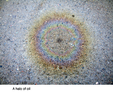 [oil+spill+ring+copy.jpg]