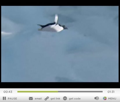 [flying+penguin.jpg]
