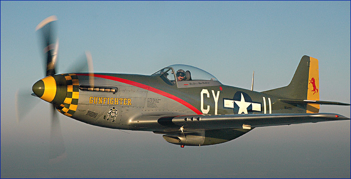 [P-51-Mustang-1.jpg]