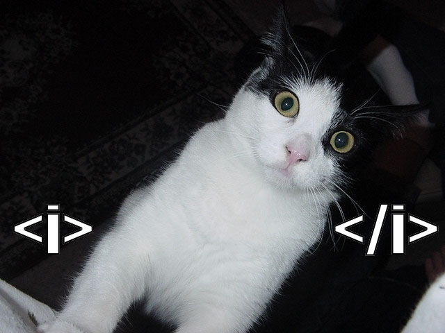 [HTML+kitty.jpg]