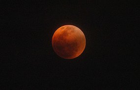 [moon+eclipse+Aug07.jpg]