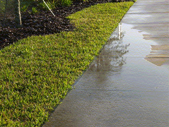 [sprinkler-inefficiency-water-on-sidewalk.gif]