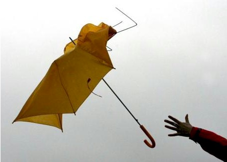 [paraguas.jpg]