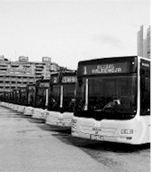 [bus2.jpg]
