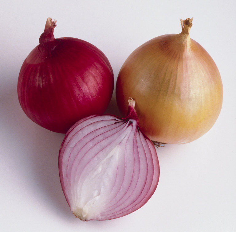 [onions.JPG]