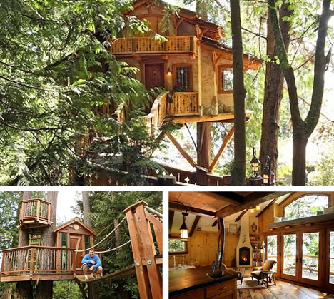 [seattle-tree-house-architectural-designers.jpg]