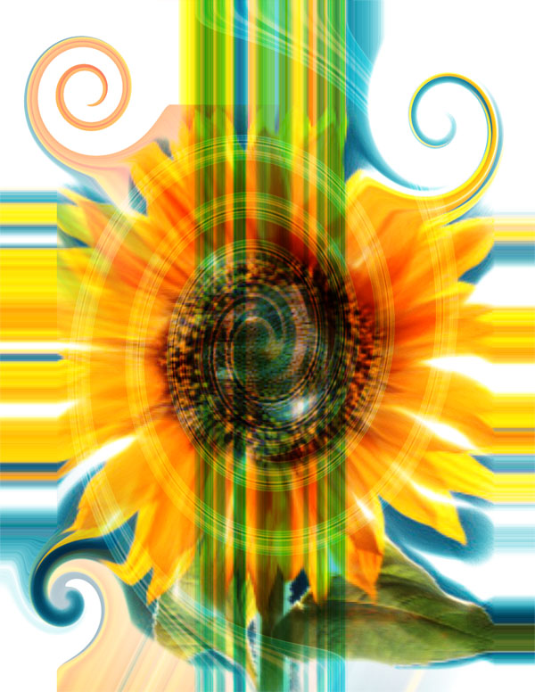 [Sunflower+abstract+finished.jpg]
