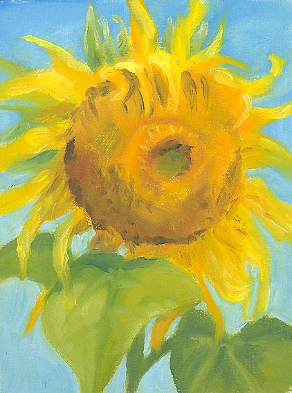 [Sunflower1.jpg]