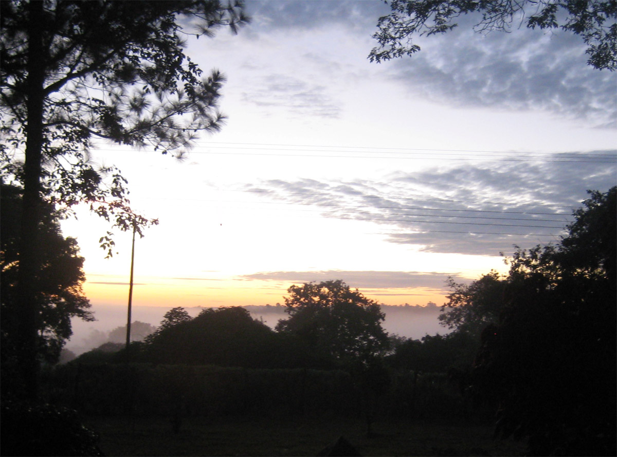 [fog-before-sunrise.jpg]