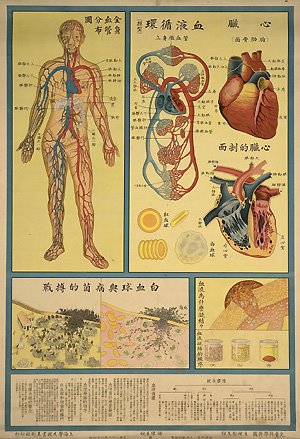 [cuerpo+humano+chino.jpg]