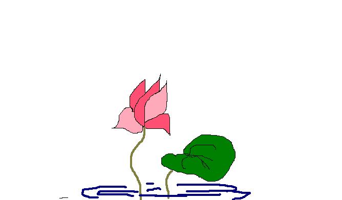 [lotus.JPG]